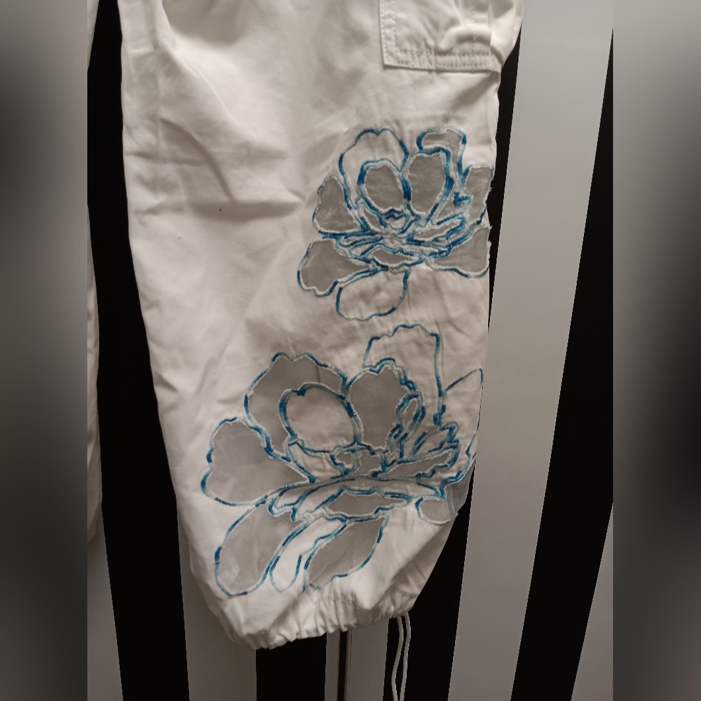 Express Pants